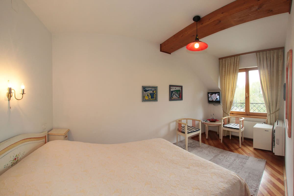 Standard Single Room | 1 bedroom, hypo-allergenic bedding, minibar, iron/ironing board
