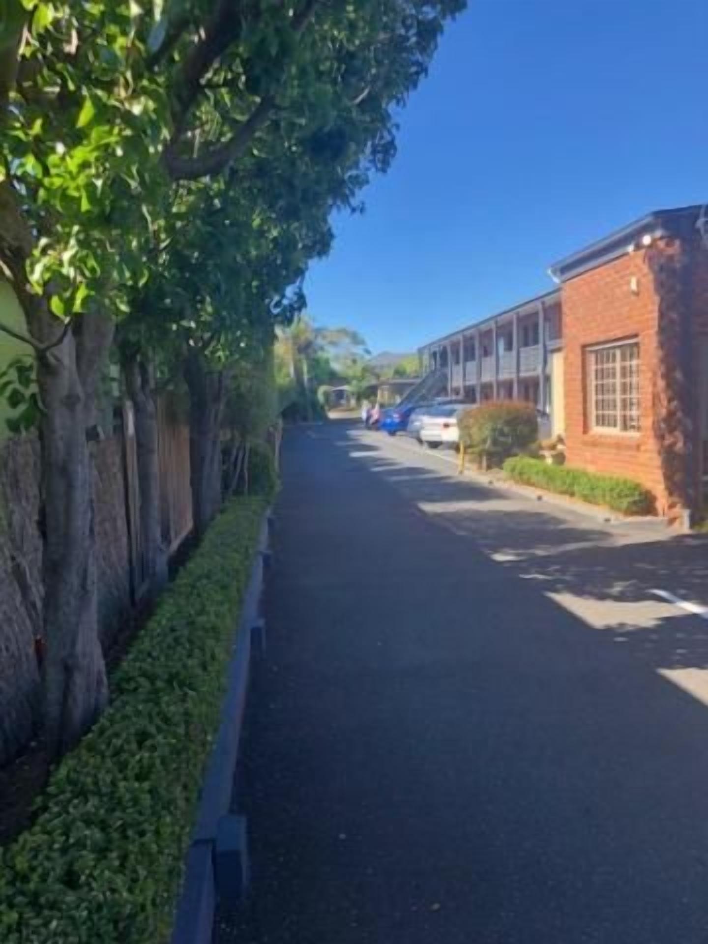 A narrow street with a building on the right and a tree-lined sidewalk.