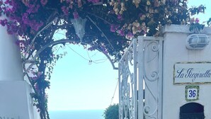 A gated entrance with a view of the sea, a number plaque, and a mailbox. - Hotel La Reginella  (Capri)