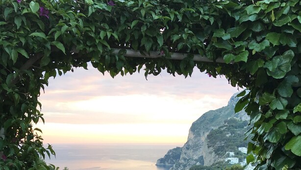 A balcony with a table, surrounded by lush greenery and a view of the sea and cliffs. - Hotel La Reginella  (Capri)