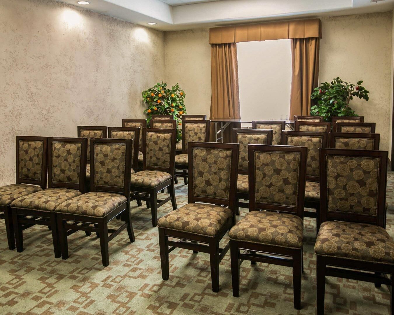 A conference room with rows of chairs, a patterned carpet, and two potted plants.