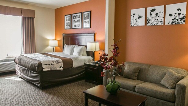 A hotel room with a bed, a sofa, a coffee table, and wall art. - Sleep Inn & Suites Highway 290/NW Freeway (Houston)