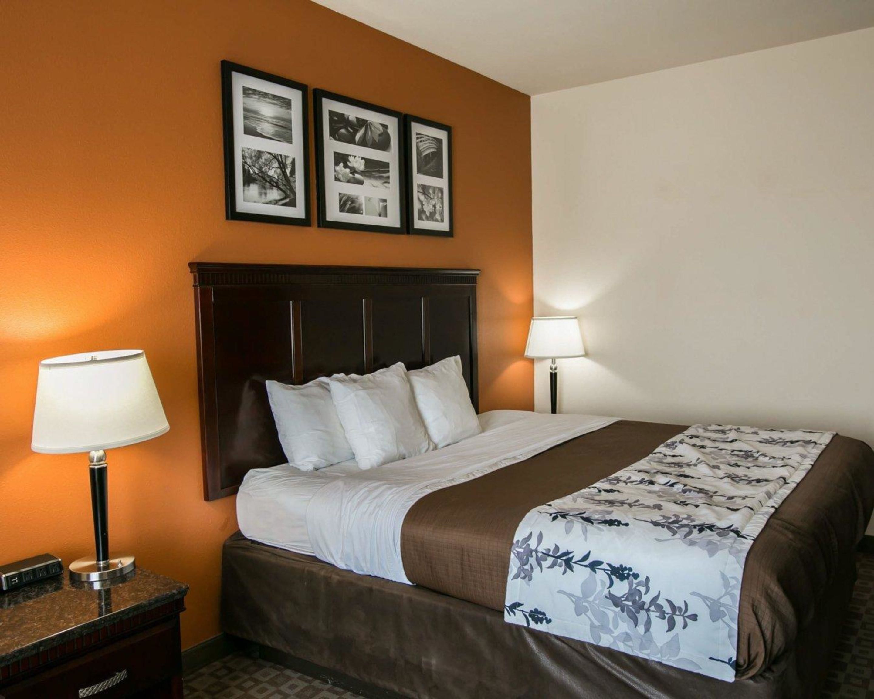 Habitación de hotel con una cama grande, dos lámparas de noche, una mesita de noche y una pared con tres cuadros.