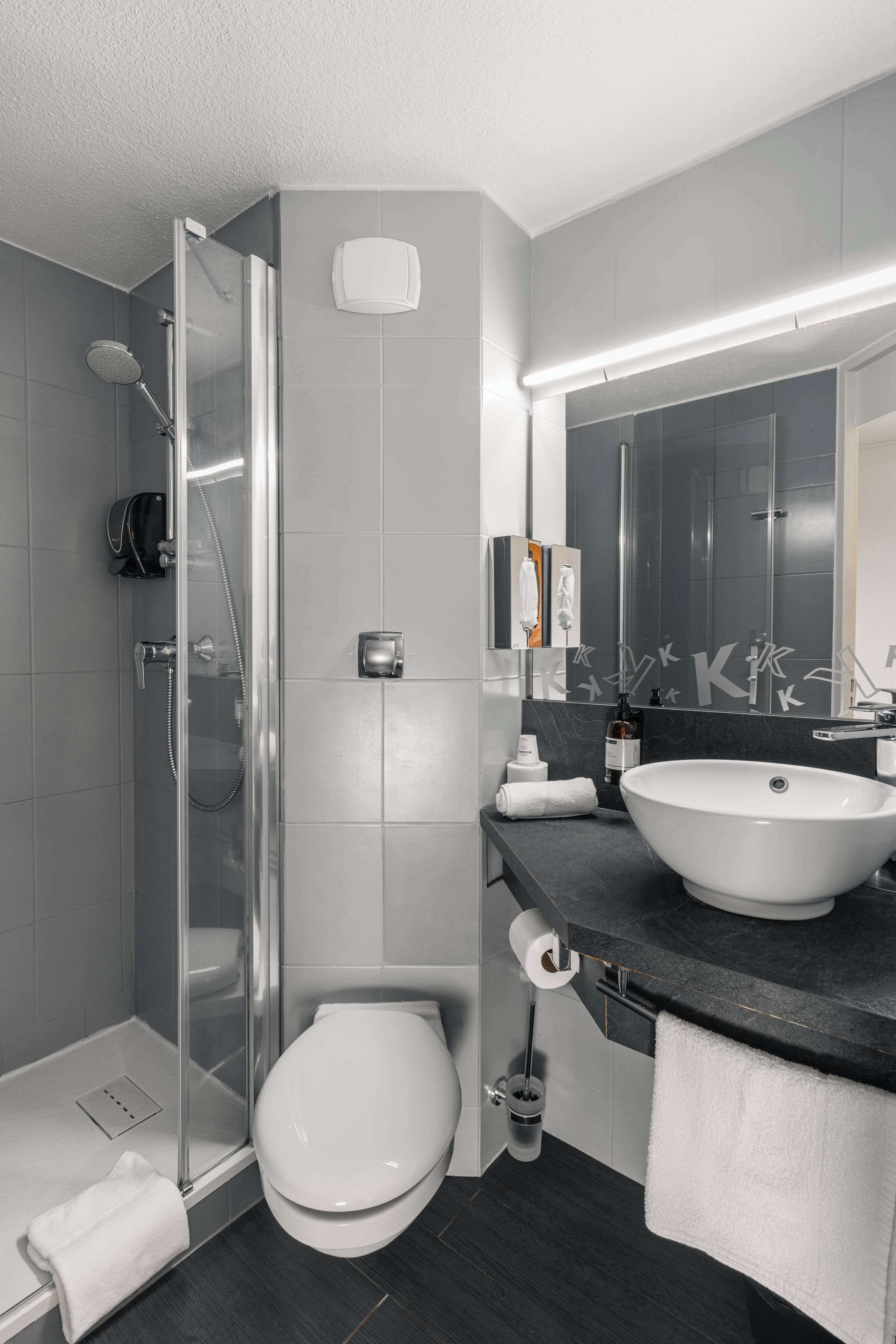 shower, eco-friendly toiletries, hair dryer, towels