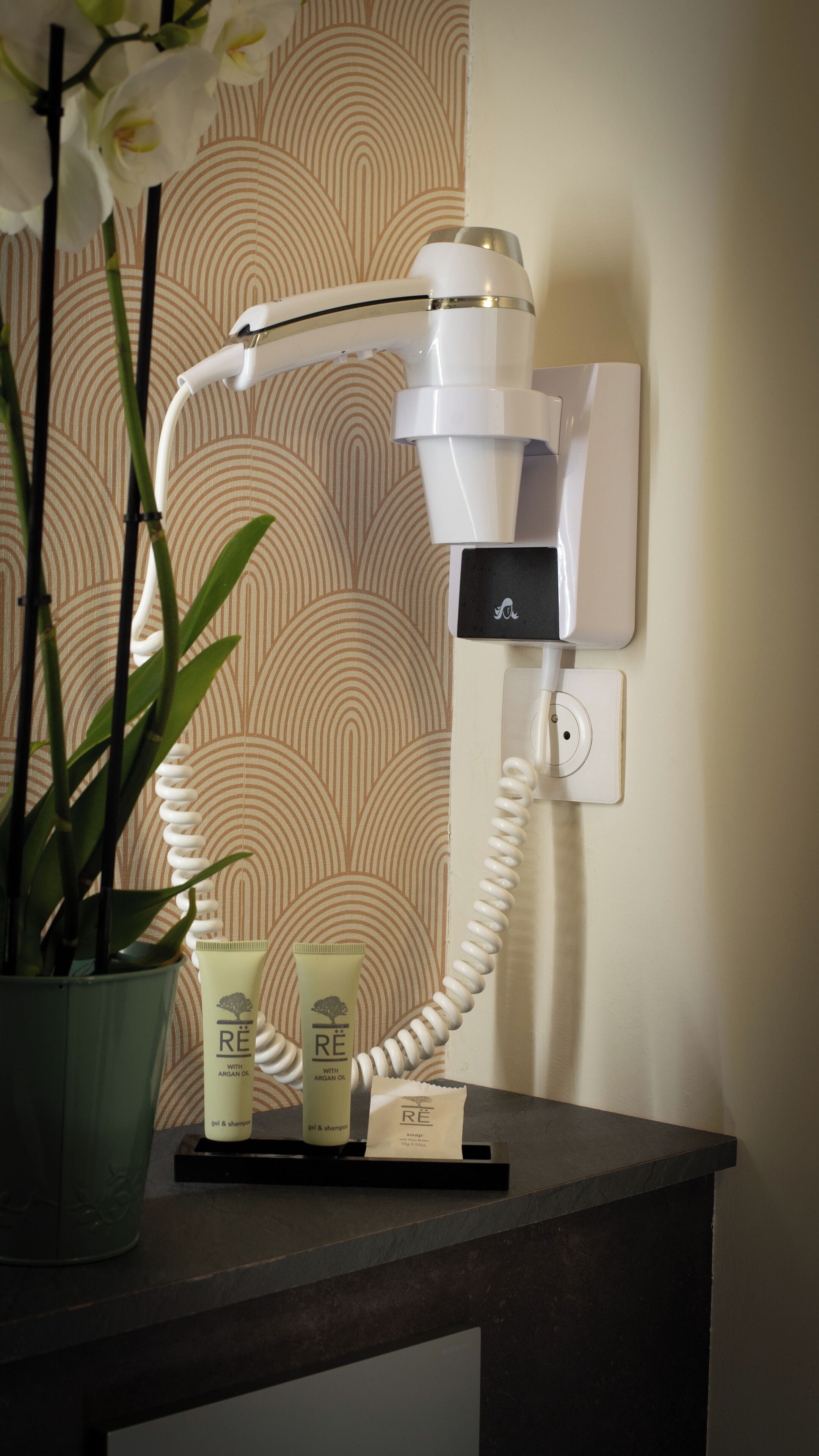 A hair dryer mounted on a wall, a potted plant, and a tray with hair care products.