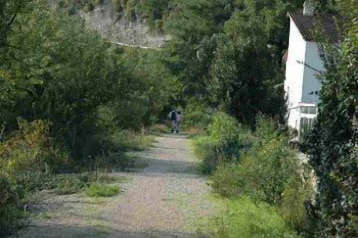 Un sendero estrecho de grava bordeado por abundante vegetación, que lleva a un edificio blanco con techo oscuro.