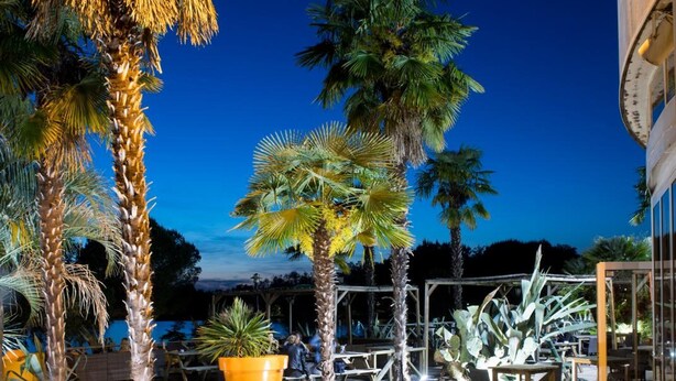 An outdoor patio area with wooden tables and benches, surrounded by palm trees and potted plants.