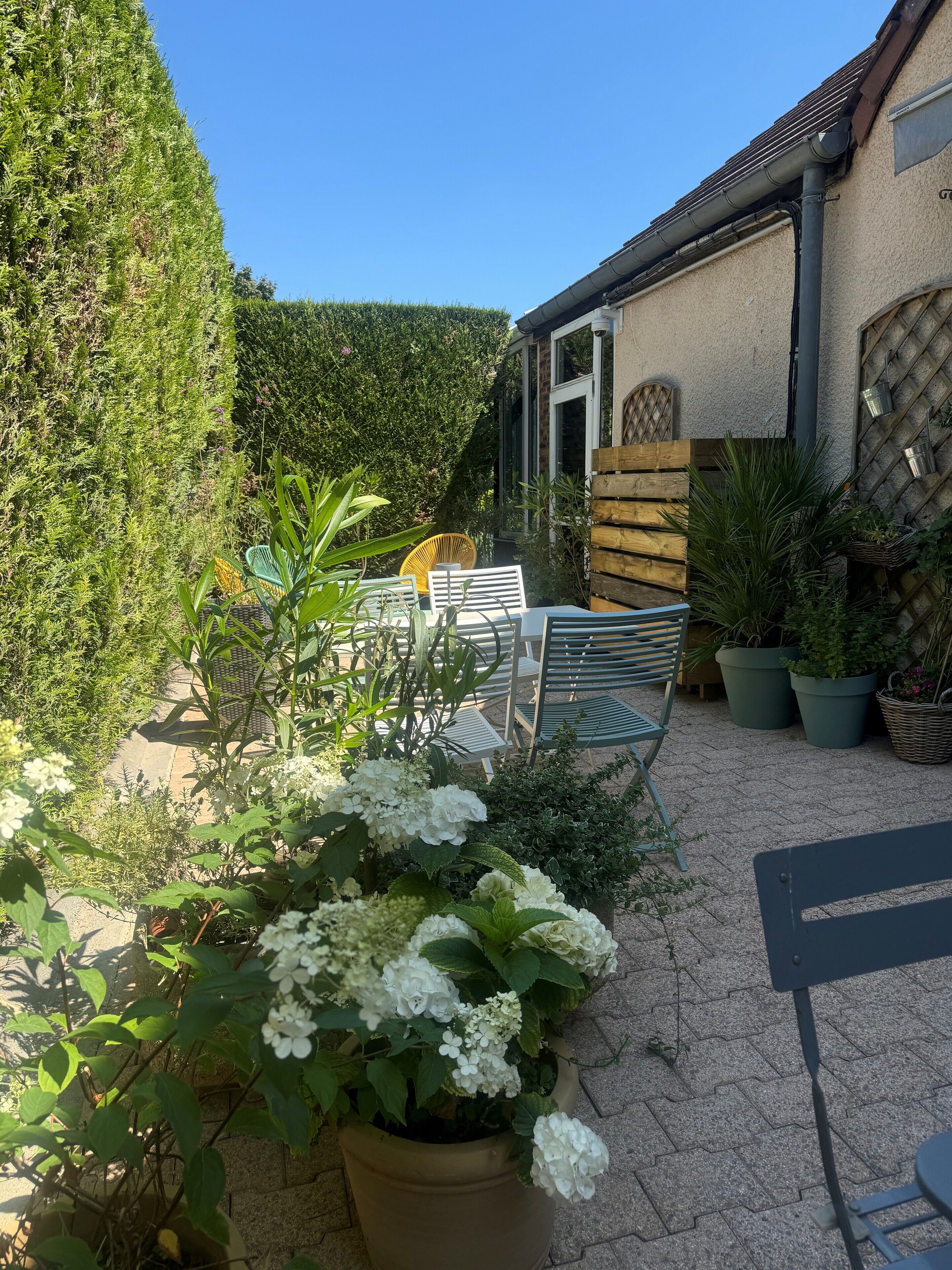 Un espace patio aménagé avec des meubles d’extérieur, des plantes en pot et une vue sur un bâtiment doté d’une fenêtre et d’une porte.