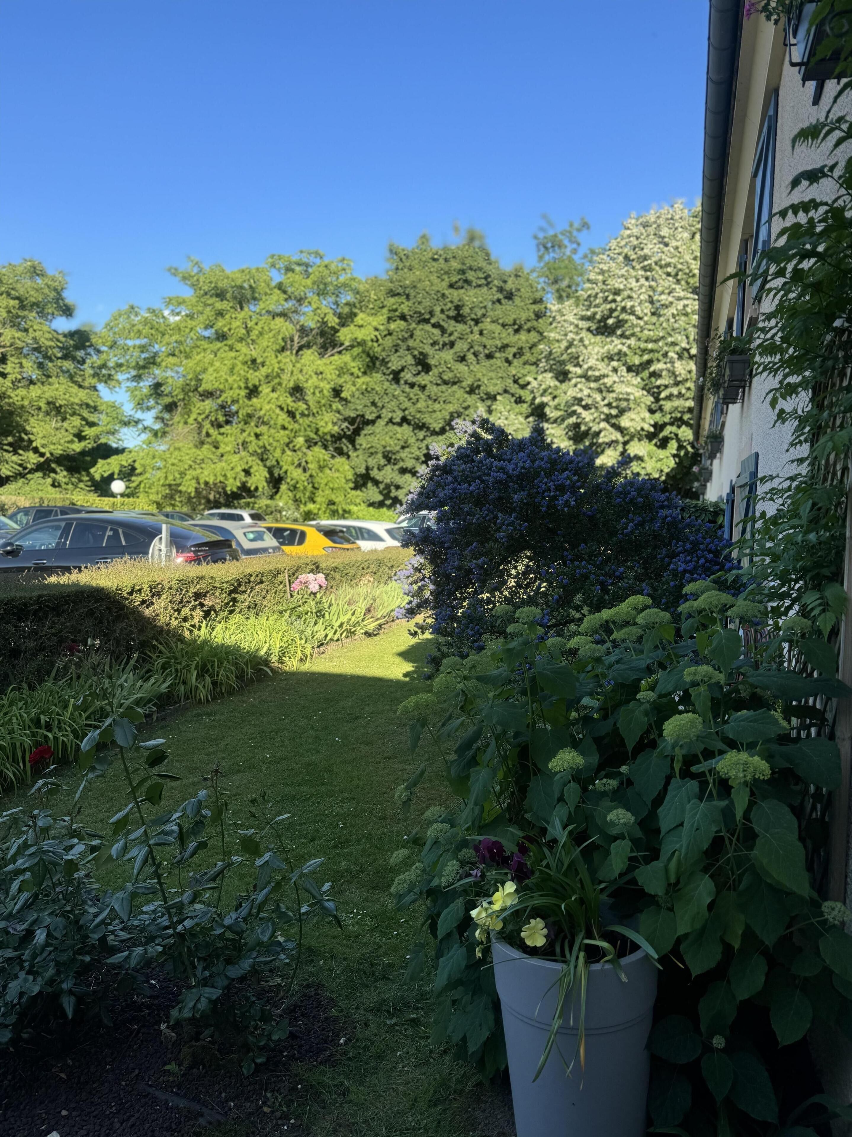 A garden with a variety of plants and a building in the background.