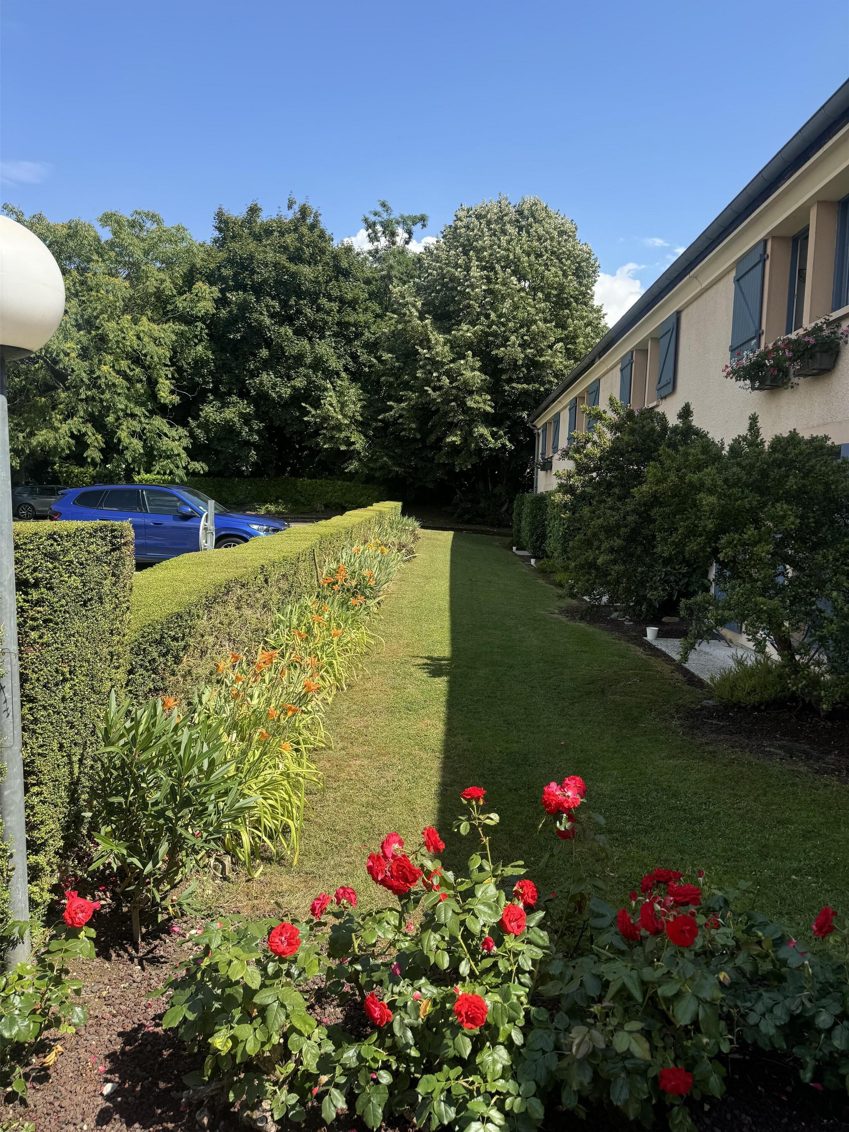 Un giardino curato con prato, rose rosse e un'auto blu parcheggiata sullo sfondo.