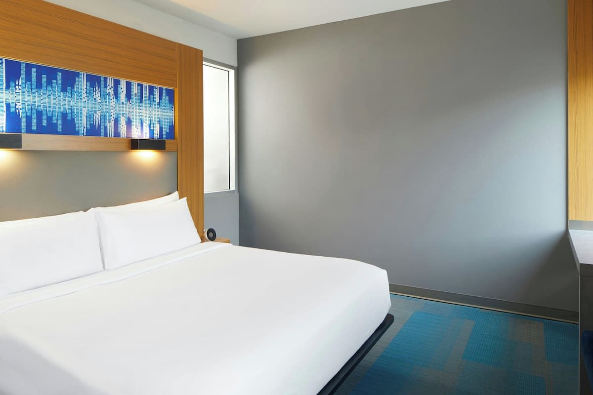 Room, 1 King Bed | Hypo-allergenic bedding, down comforters, in-room safe, desk