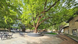 Outdoor banquet area - Sathyam Grand Resort, Sriperumbudur (Sriperumbudur)