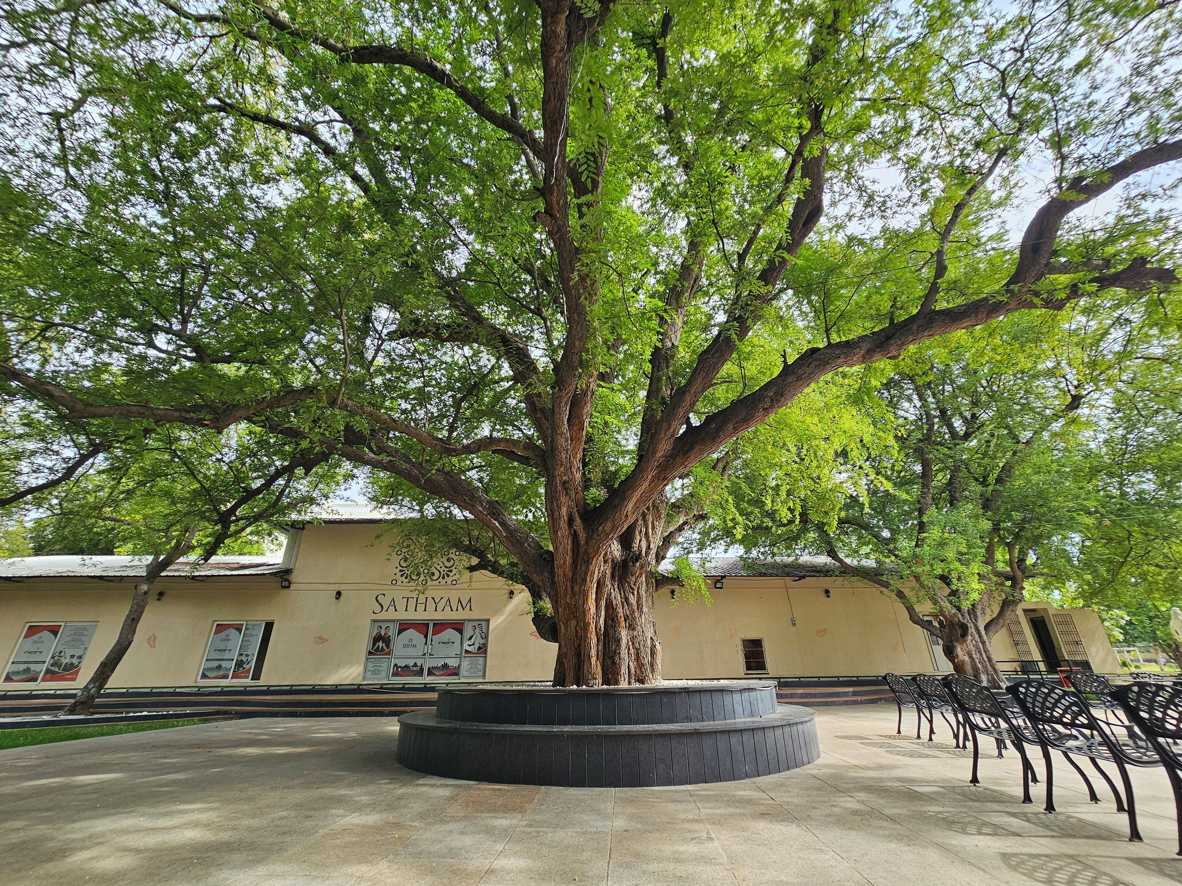 Outdoor banquet area