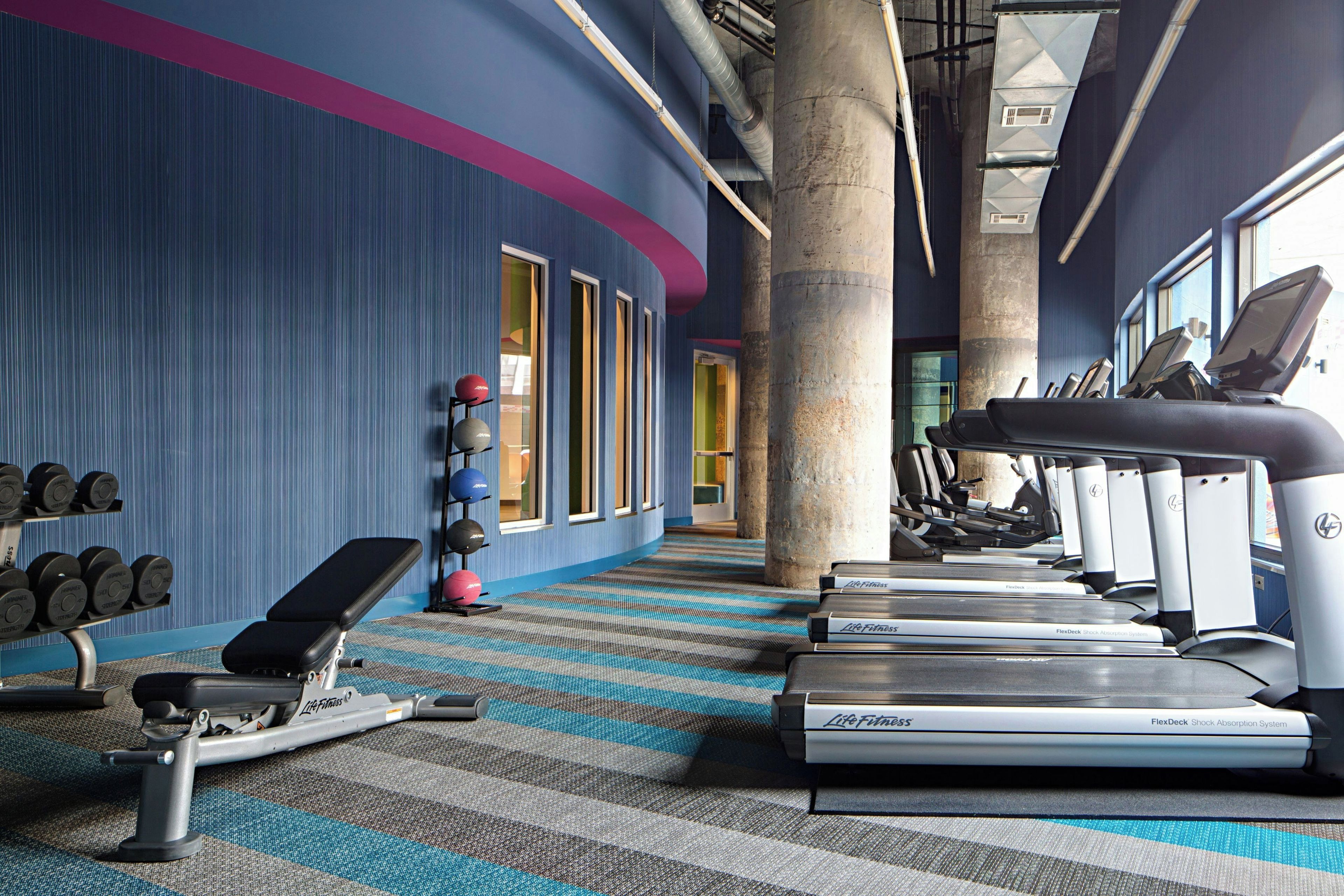 Ein Fitnessstudio mit Laufbändern, Kurzhanteln und einer Trainingsbank.
