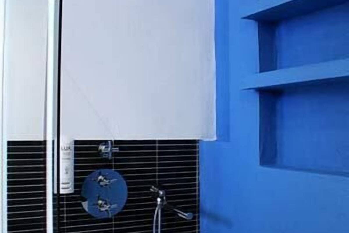 hair dryer, bidet, towels