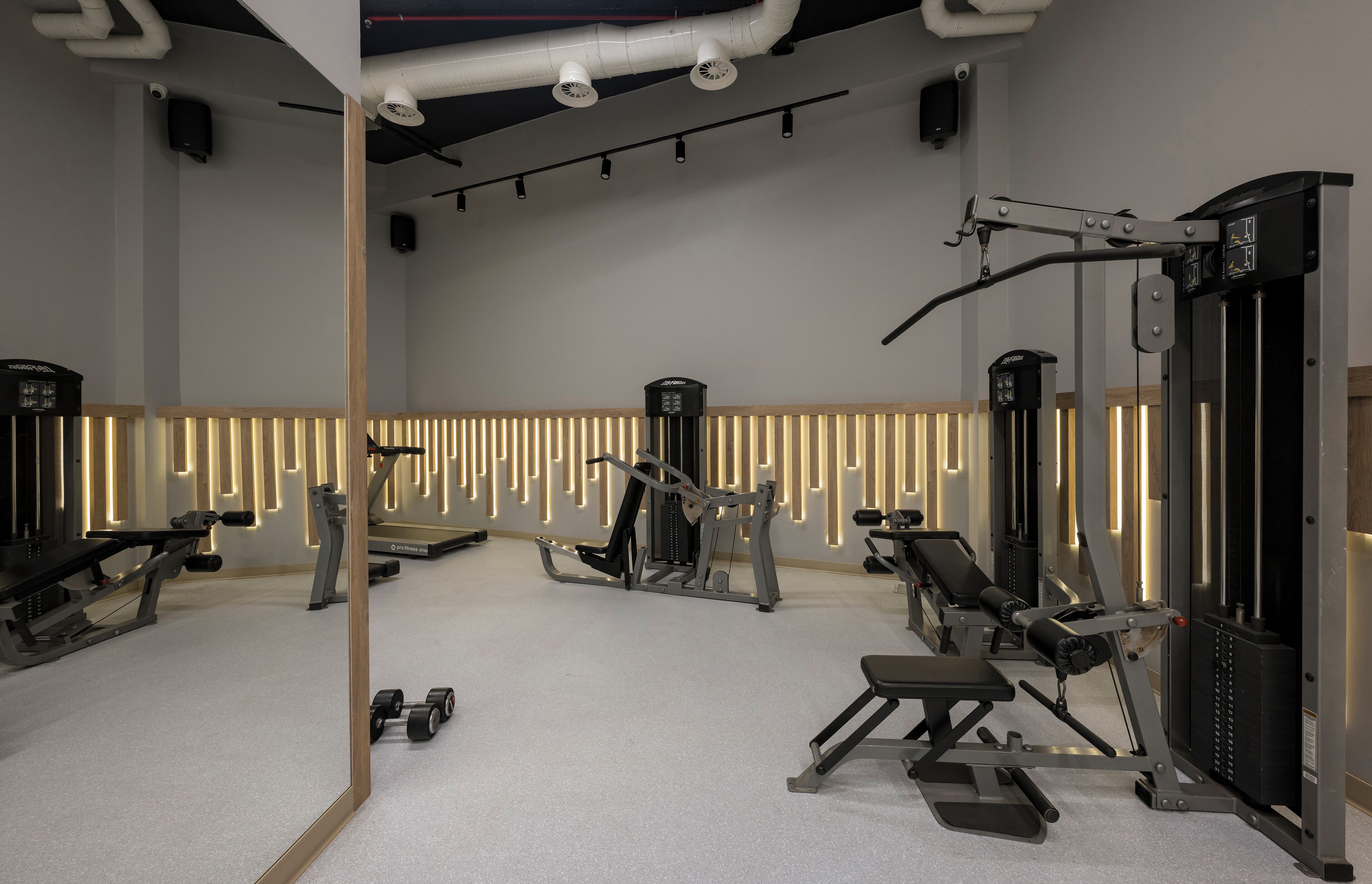 Een sportschool met diverse fitnessapparaten, een spiegelwand en een decoratieve wandbekleding.
