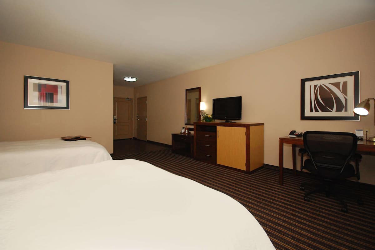 A hotel room with two beds, a desk with a chair, a television, and a mirror.