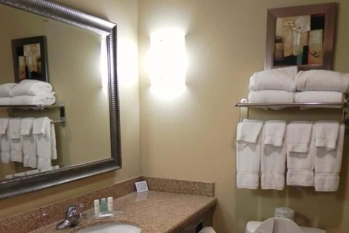 Baño | Amenidades de baño gratuitas, secadora de cabello, toallas, jabón