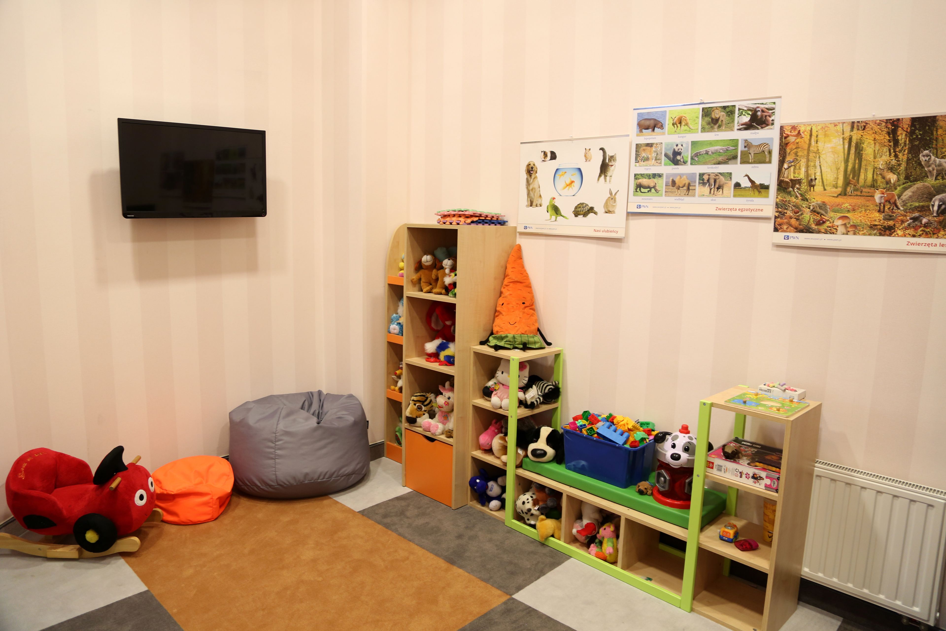 Une salle de jeux pour enfants avec une télévision, des peluches et des affiches éducatives.