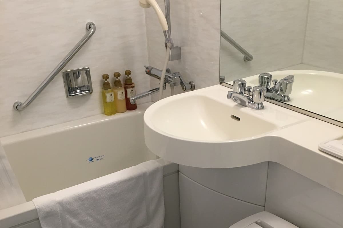 Combined shower/bathtub, free toiletries, hair dryer, slippers