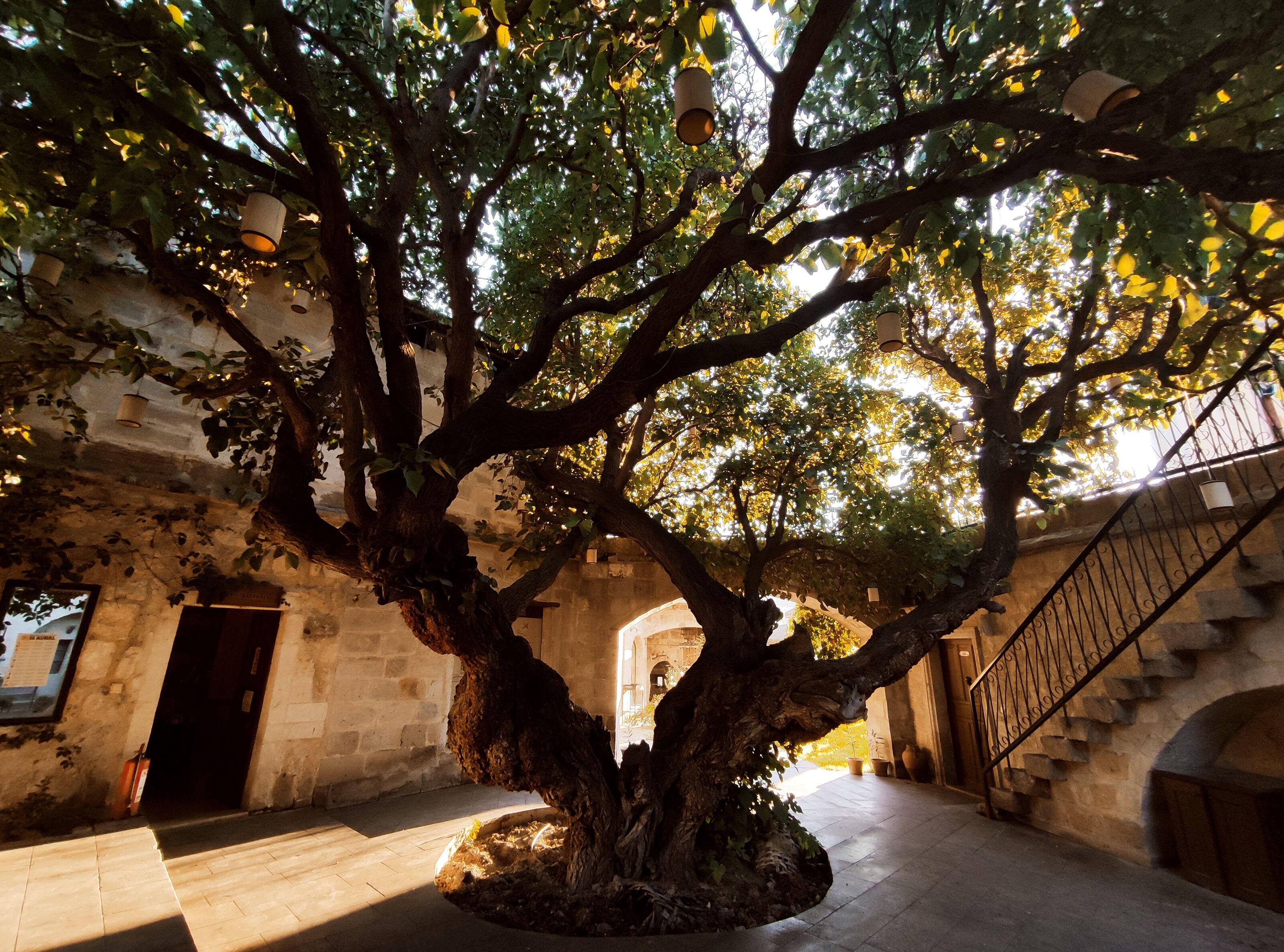 Photo - Dervish Cave House & Restaurant