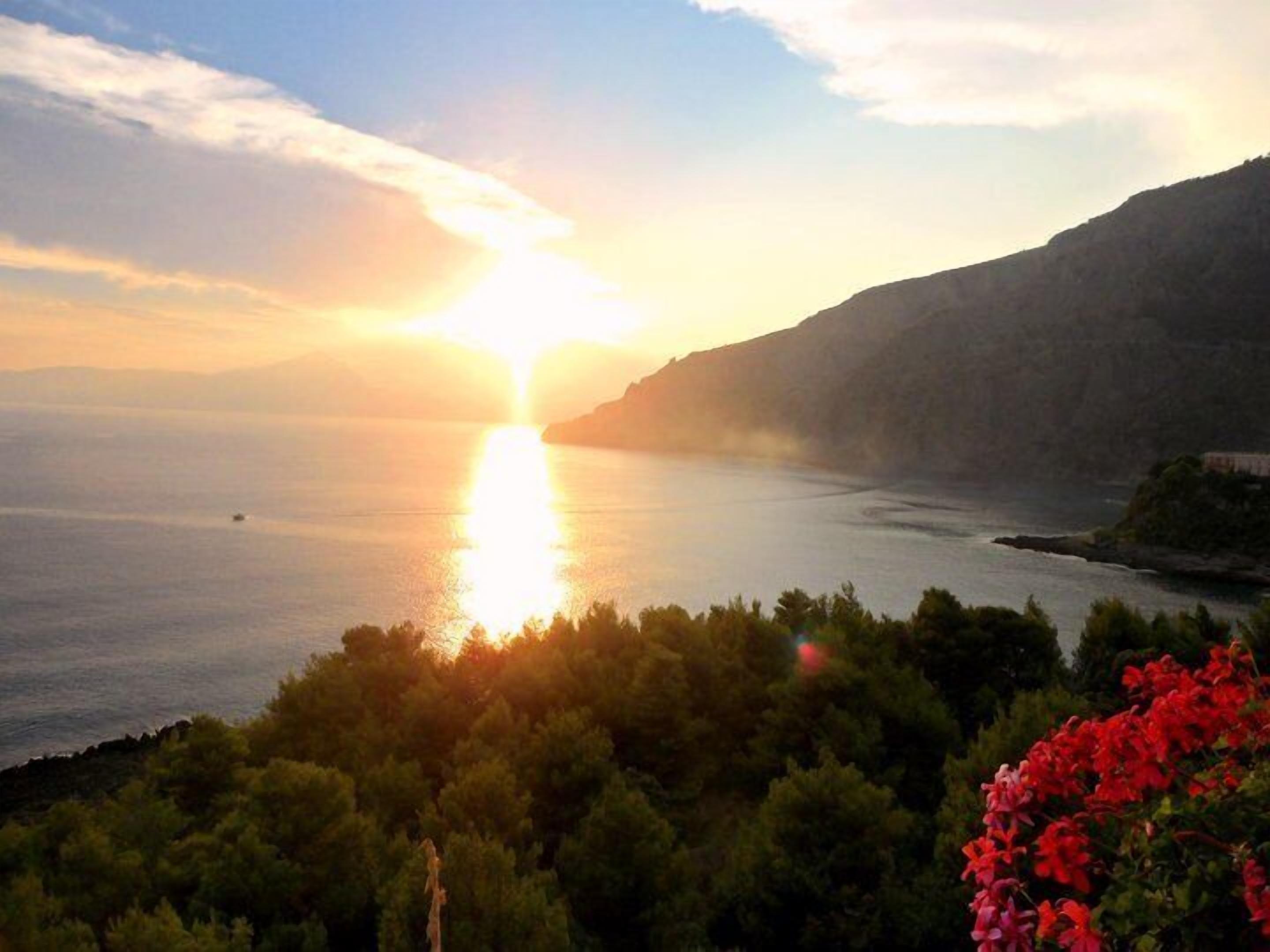 A coastal landscape with a sunset over the sea, a rocky cliff, and dense greenery in the foreground.