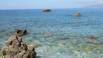 Beach nearby, rowing