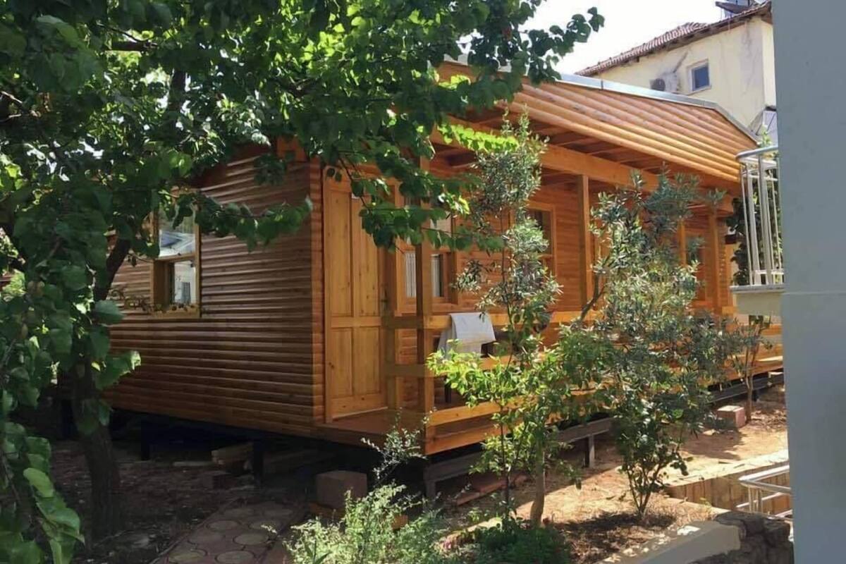 A wooden cabin with a porch, surrounded by greenery.