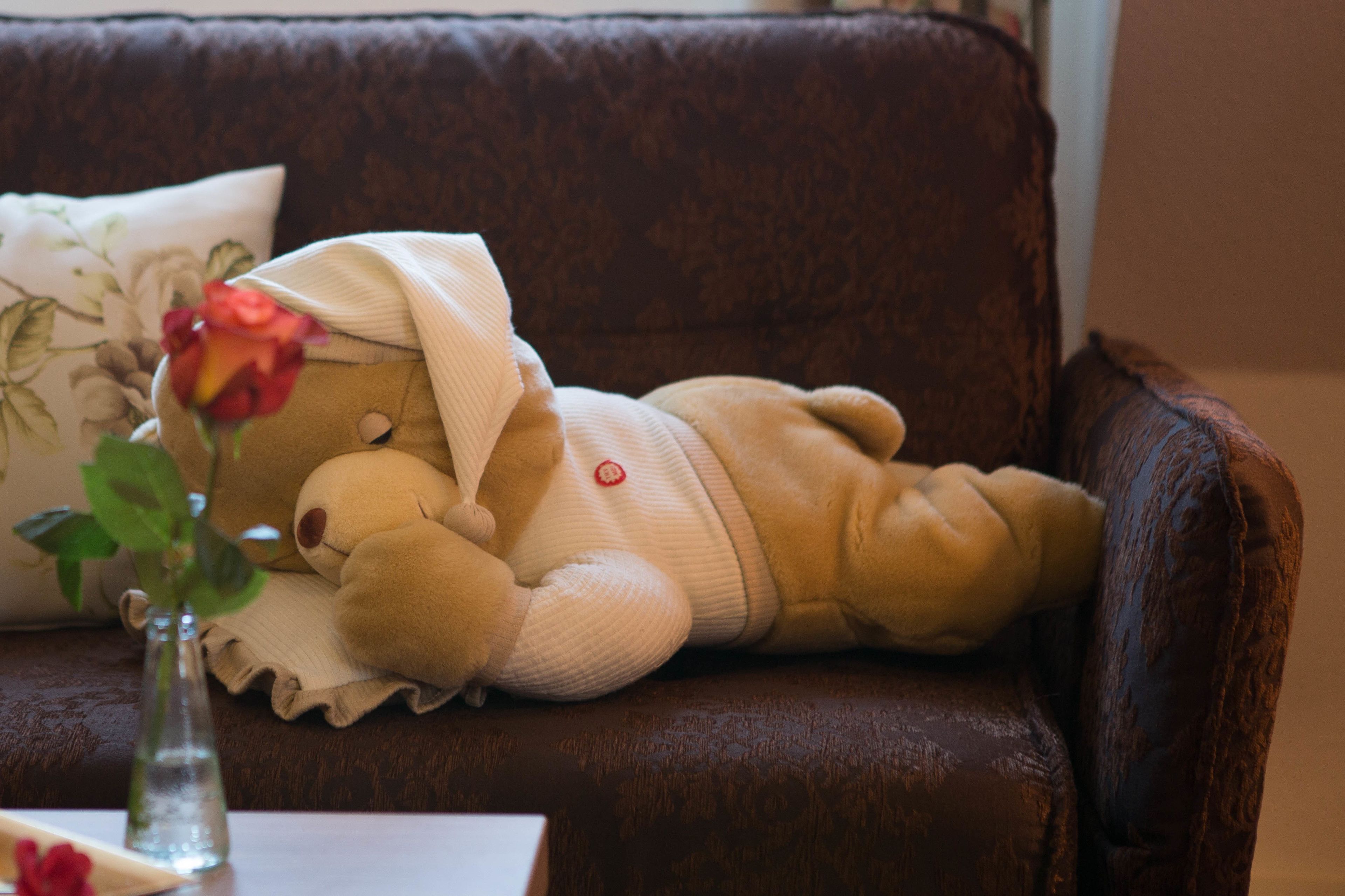 suite | living area | flat-screen tv, toys