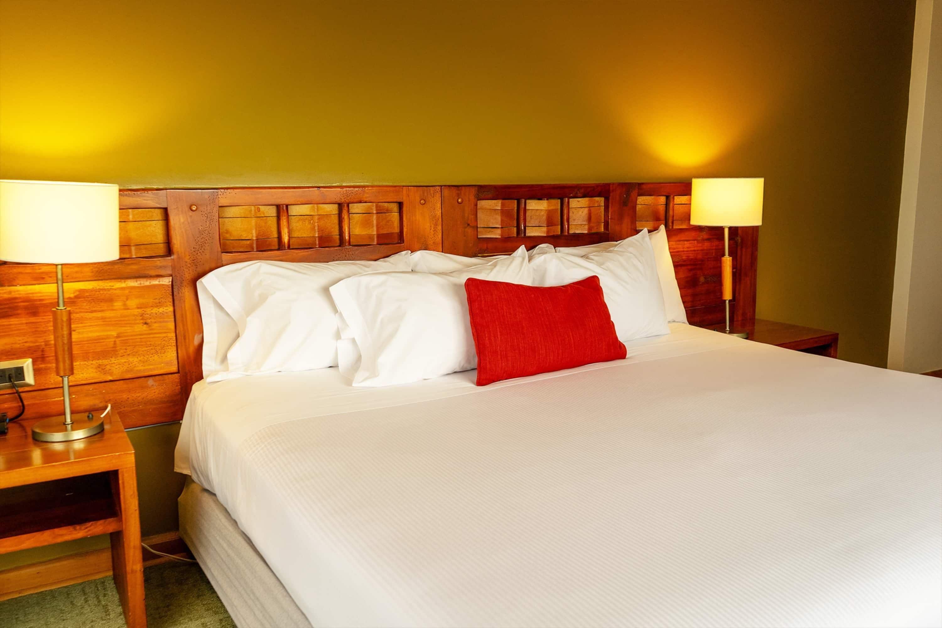 Habitación, 1 cama King size, acceso para personas con movilidad reducida, para no fumadores | Minibar, caja de seguridad en la habitación y insonorización 