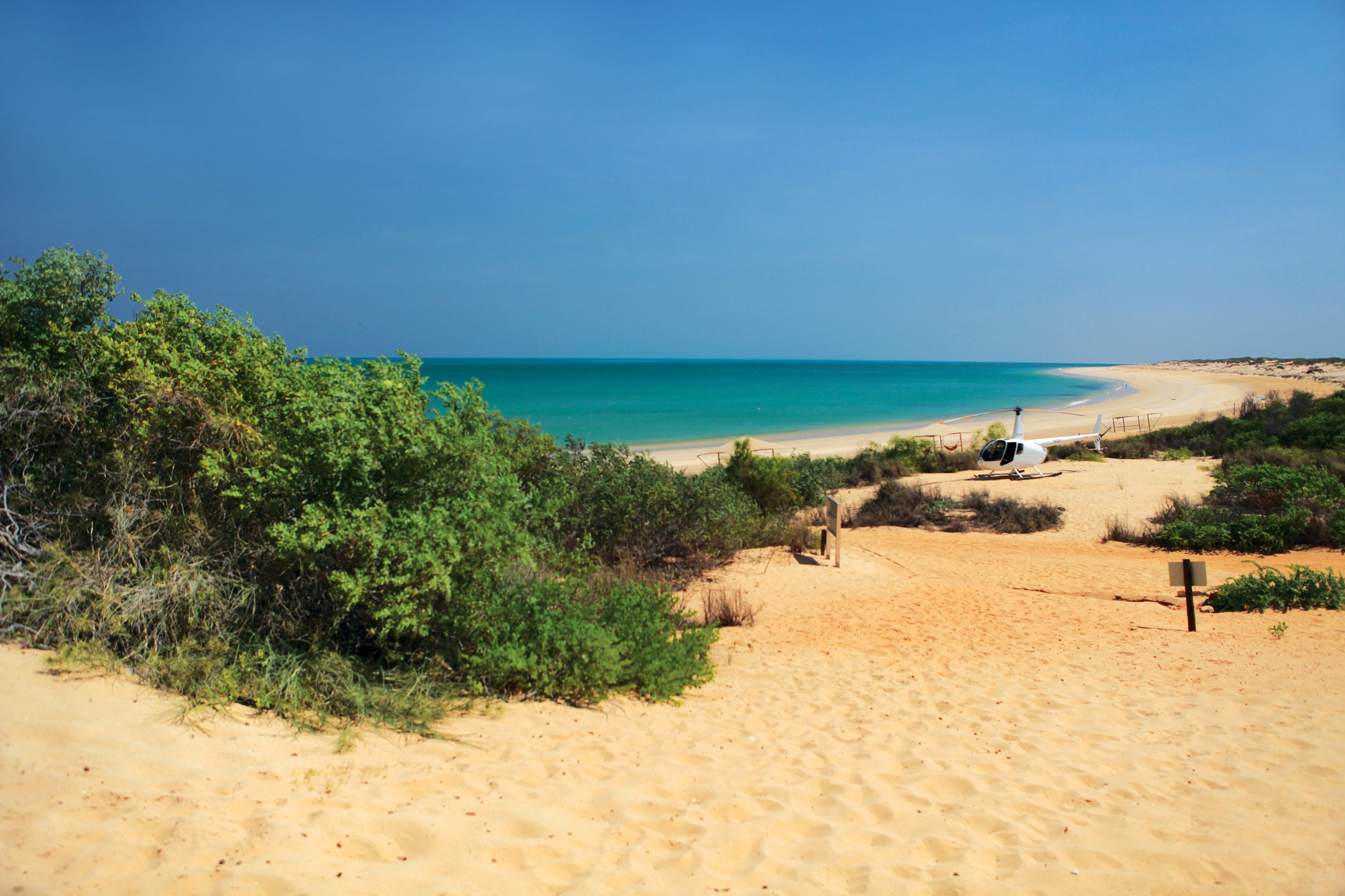 A beach with a sandy path leading to a white building, surrounded by greenery.