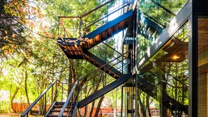 A modern outdoor staircase with glass railings, surrounded by trees and a wooden deck.