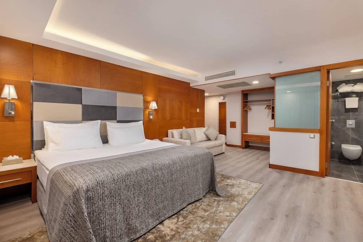 A hotel room with a large bed, bedside tables, a sofa, a bathroom with a shower, and a walk-in closet.