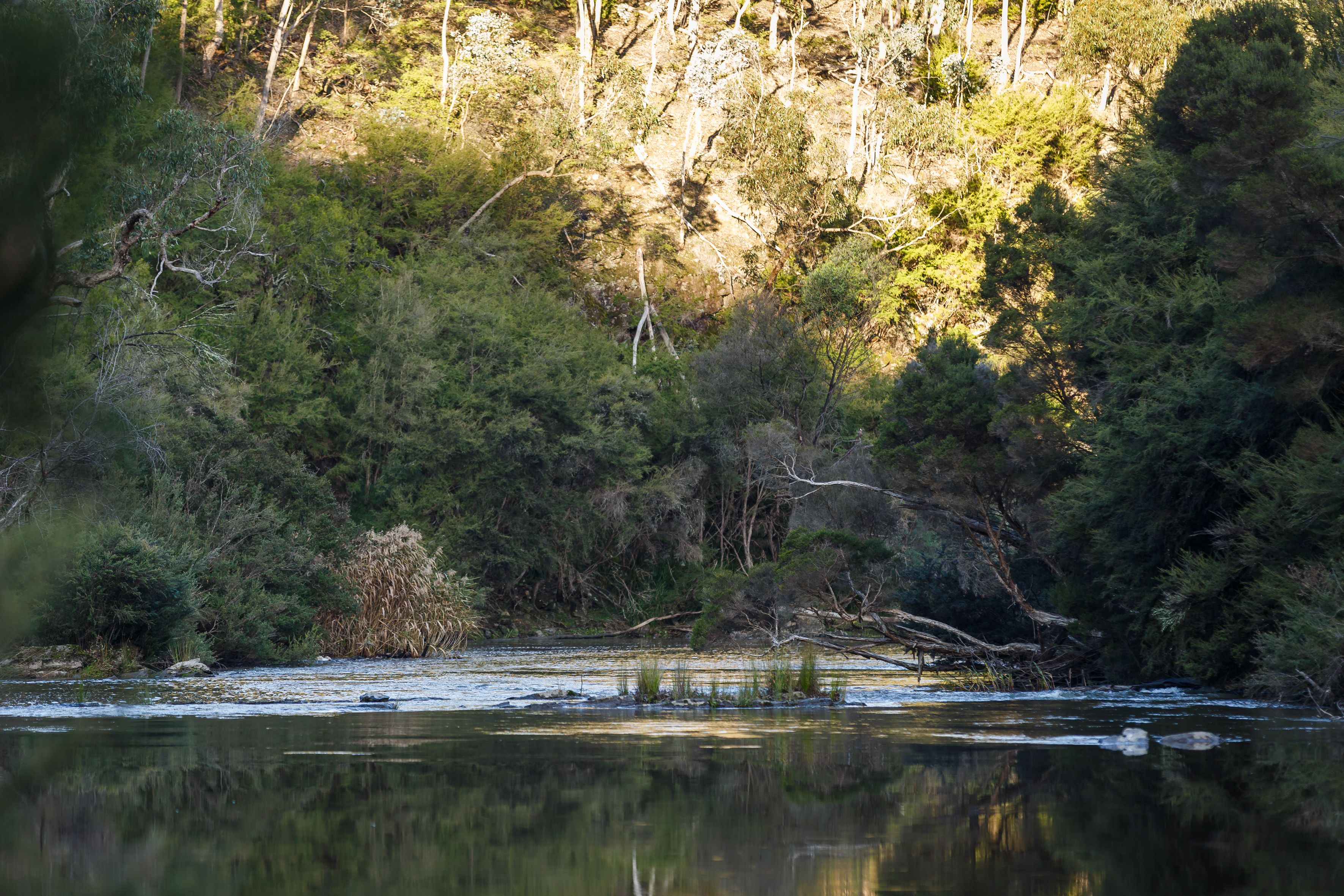 A serene river with dense forest on one side and a rocky outcrop on the other.