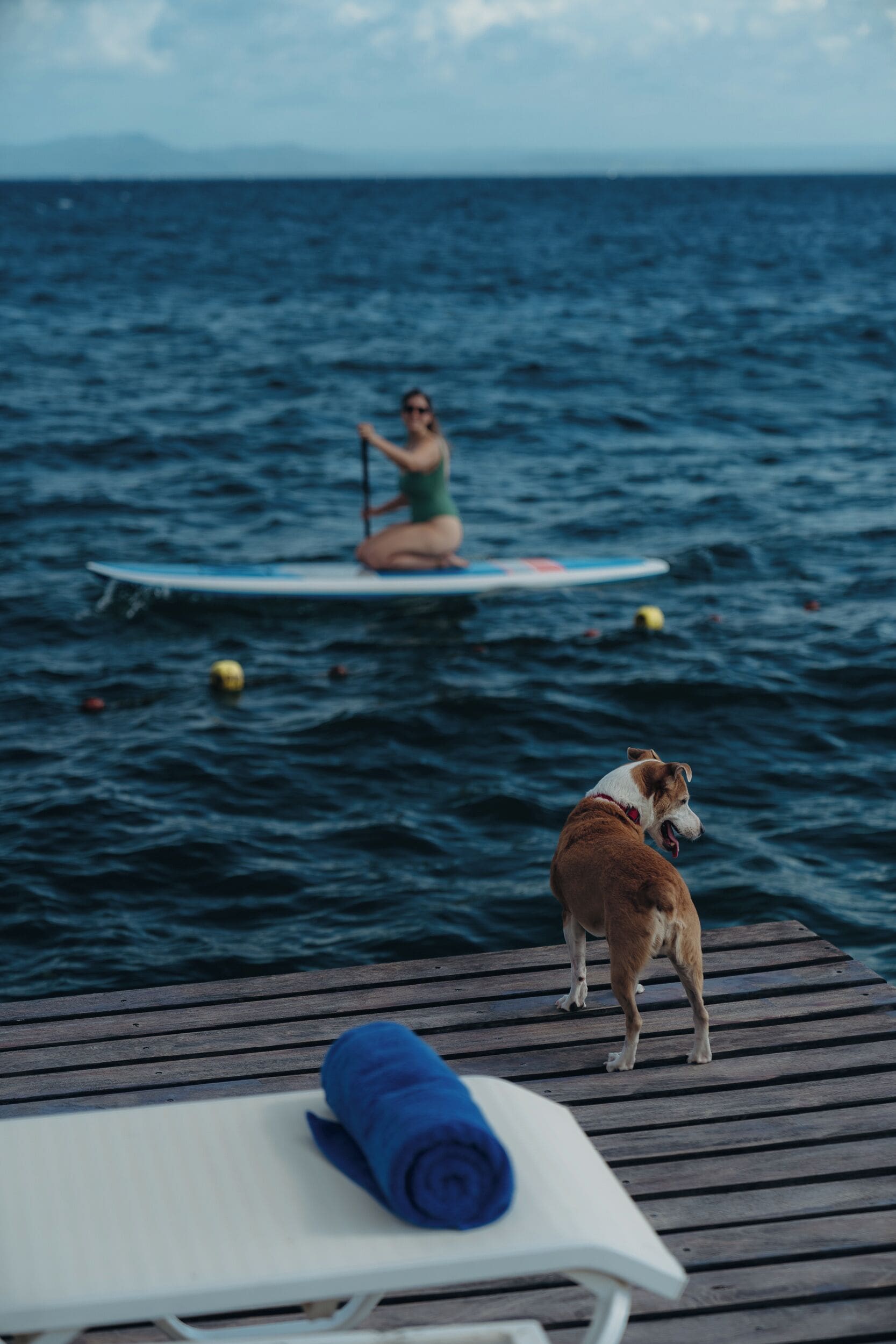 A wooden deck with a blue towel, a dog, and a person paddleboarding in the background.