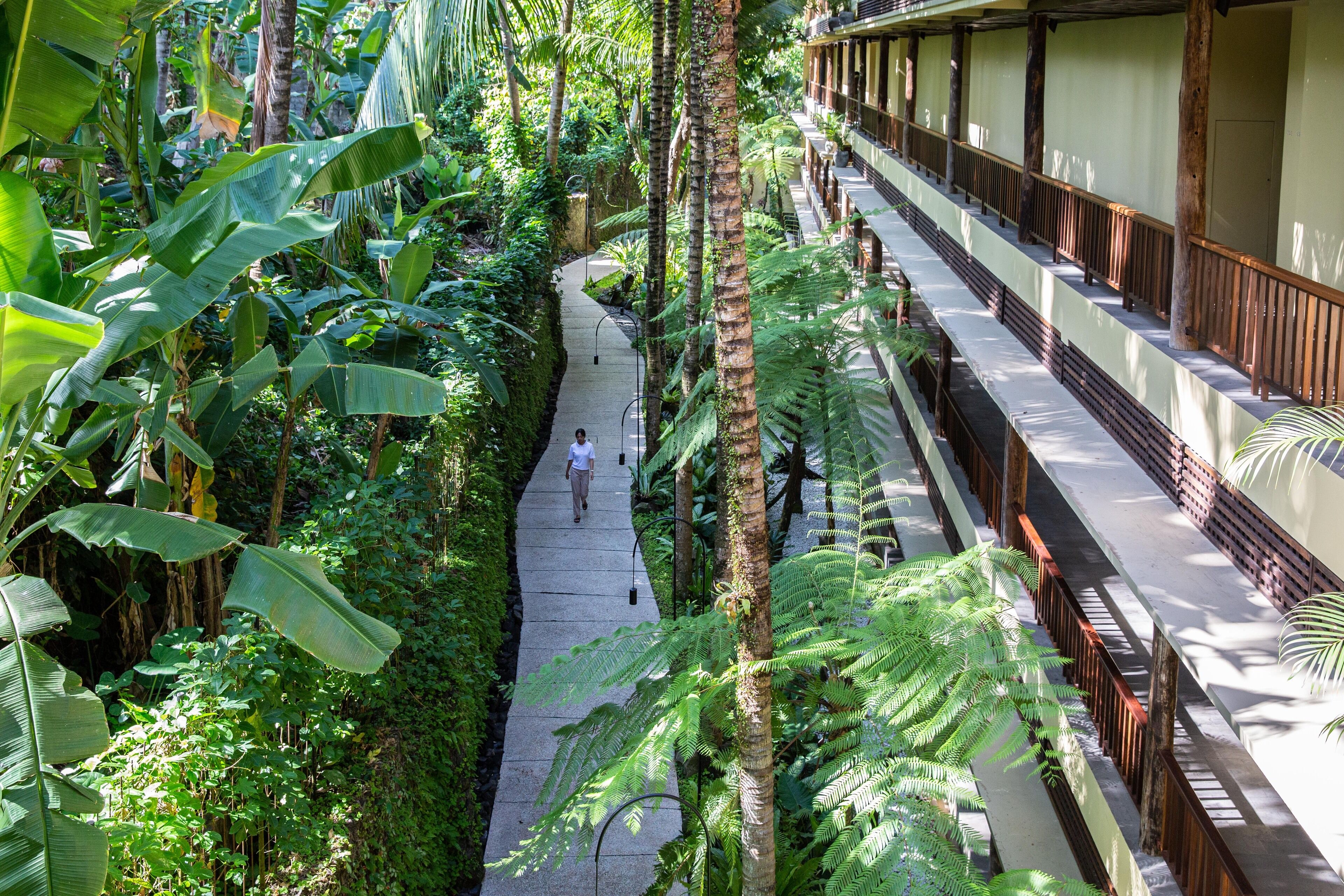A lush indoor garden with a central pathway, wooden railings, and a person walking.