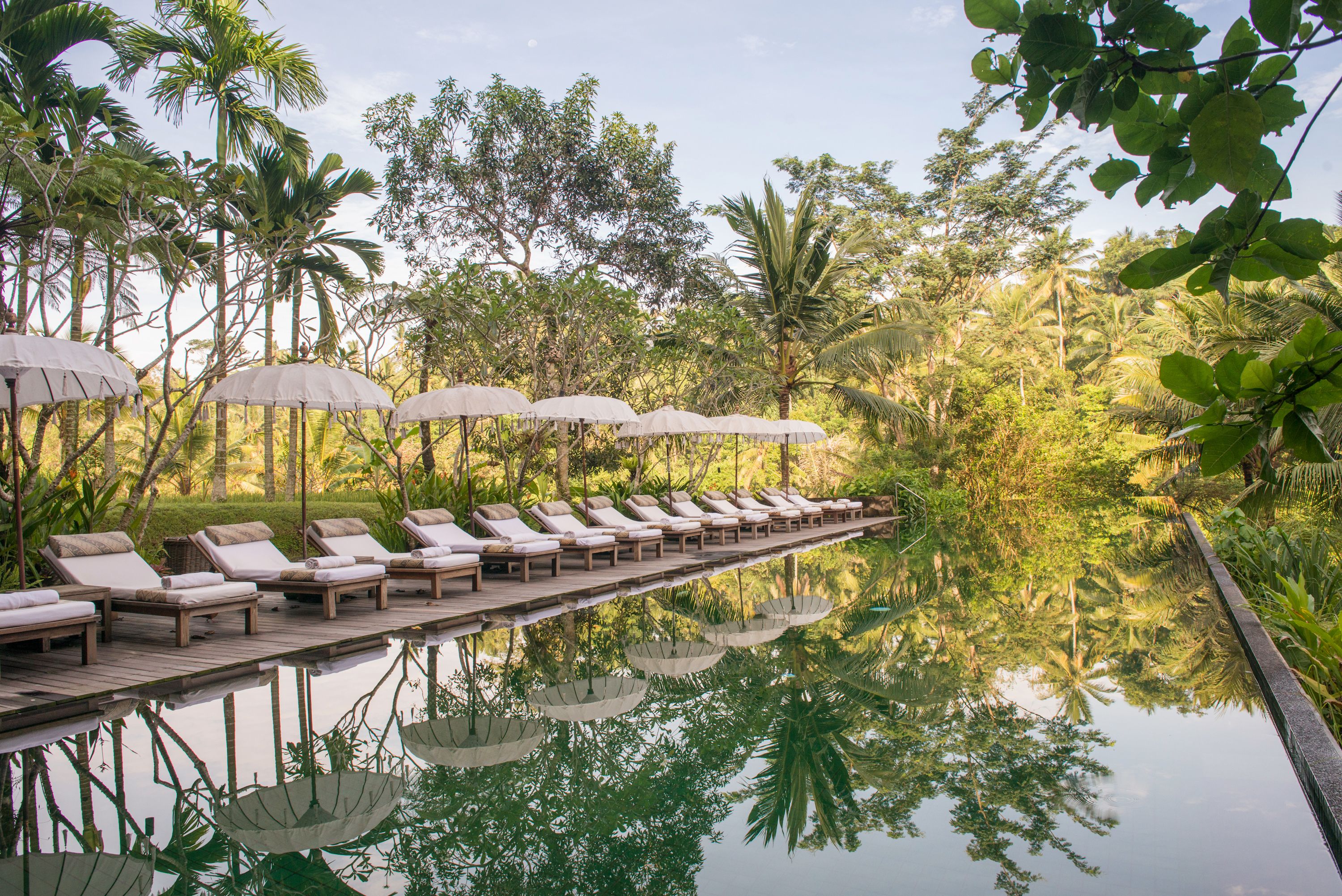 Zona junto a la piscina con sillones de descanso y sombrillas, rodeada de vegetación exuberante y palmeras.