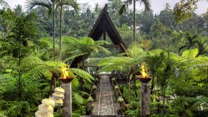 Un sendero en un jardín tropical que conduce a una estructura de madera con techo de paja, rodeada de exuberante vegetación y sombrillas decorativas.