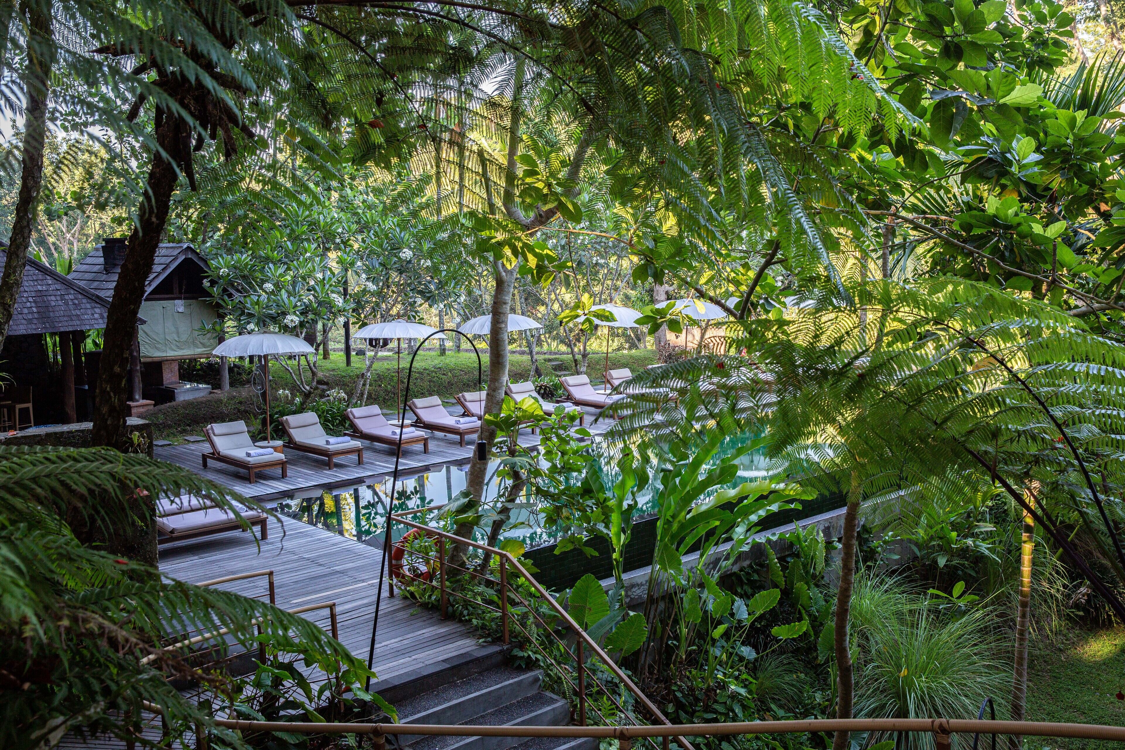 Un área de piscina con sillones de descanso y sombrillas, rodeada de abundante vegetación y una terraza de madera.