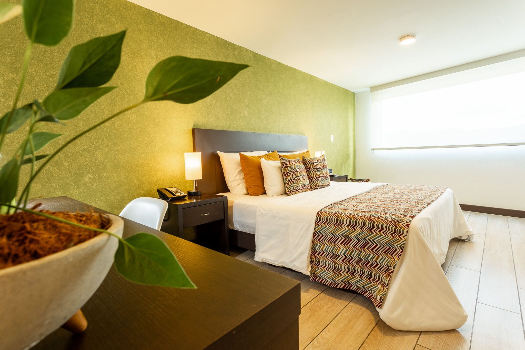 A hotel room with a bed, bedside tables, a desk, and a large potted plant.
