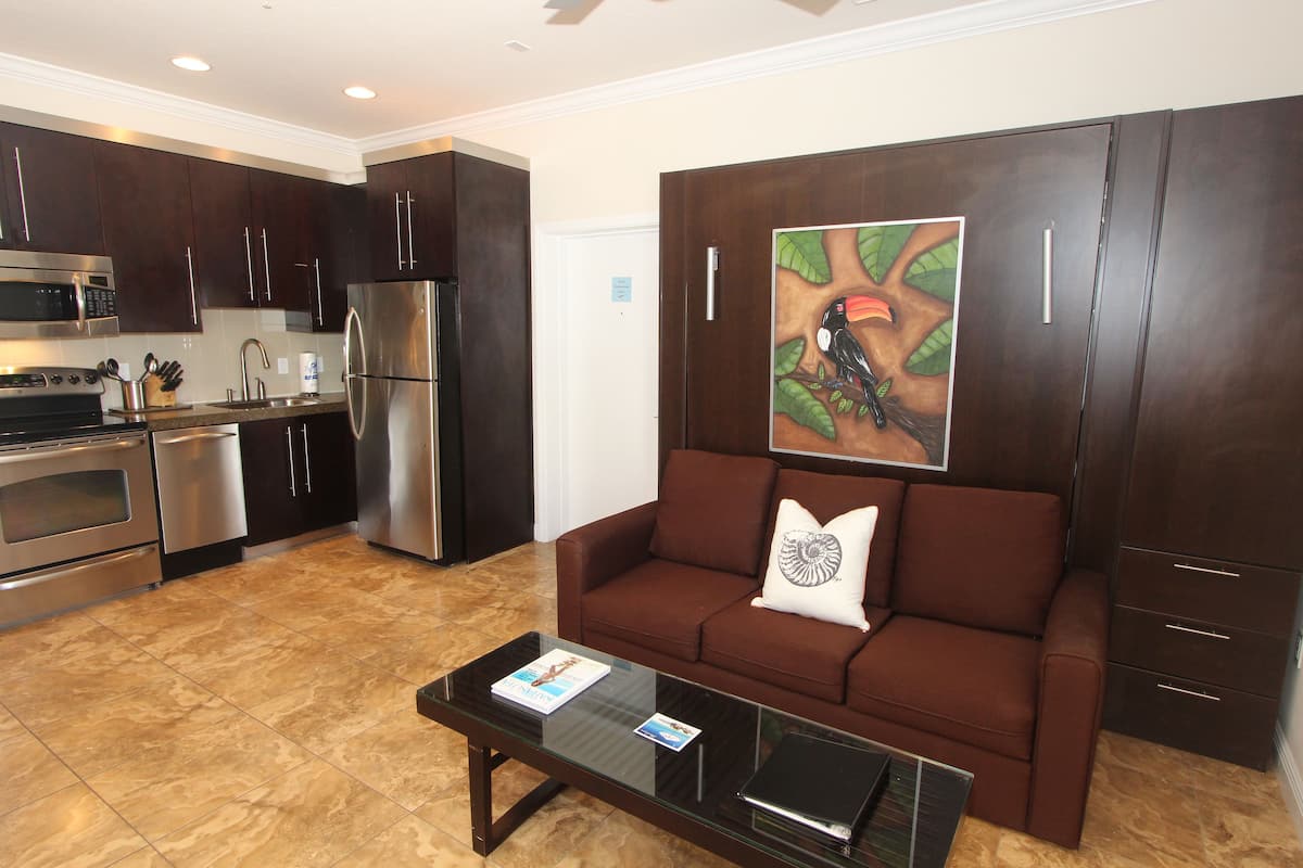 Une cuisine moderne équipée d’appareils électroménagers en acier inoxydable, un canapé en cuir marron et une table basse en verre.