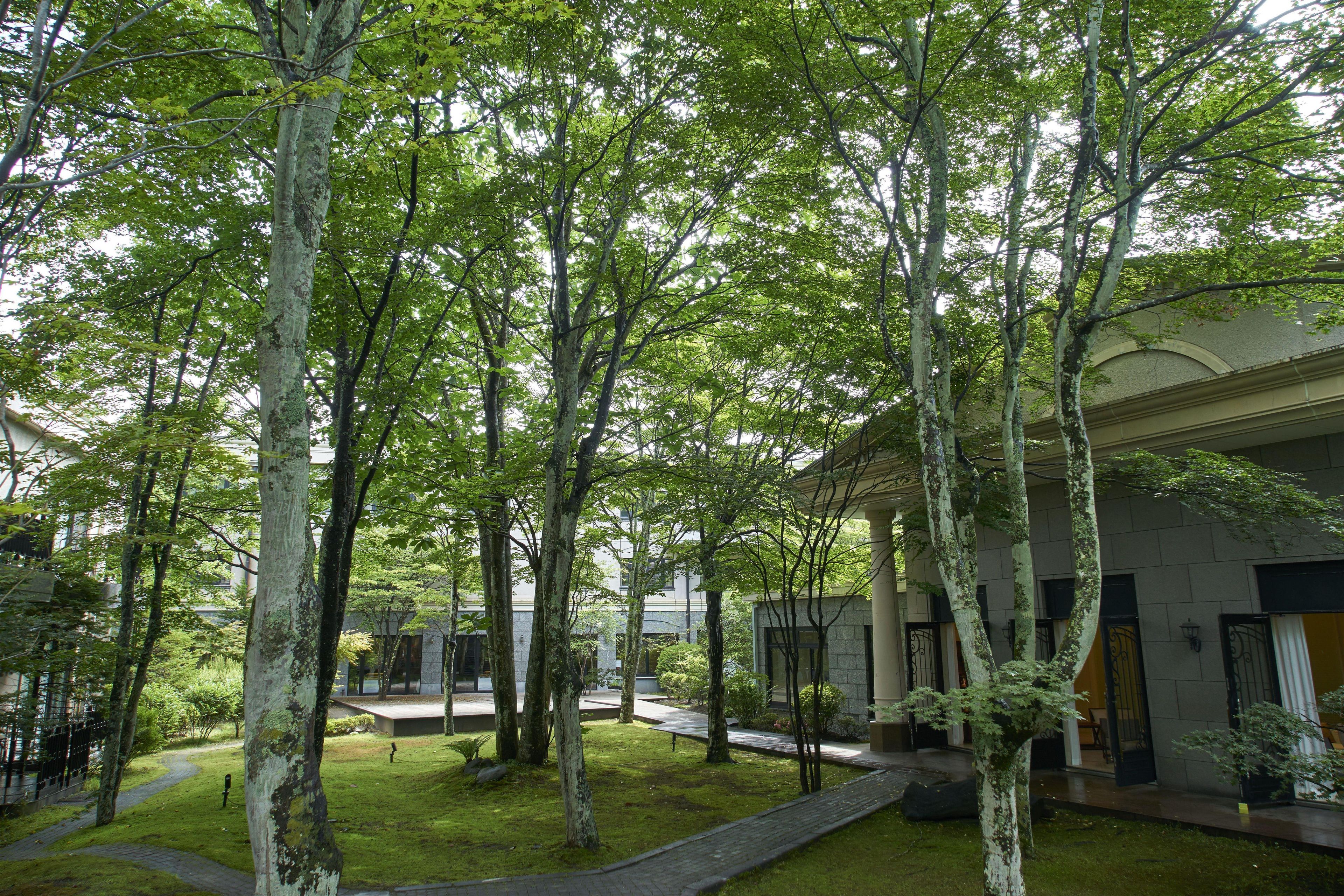 A courtyard with tall trees, a paved walkway, and a building with a classical facade.