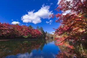 Un lago sereno rodeado de árboles con follaje otoñal.