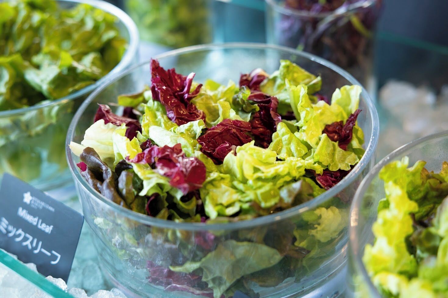 A salad bowl with mixed greens and red leaves, possibly indicating a variety of lettuce types.