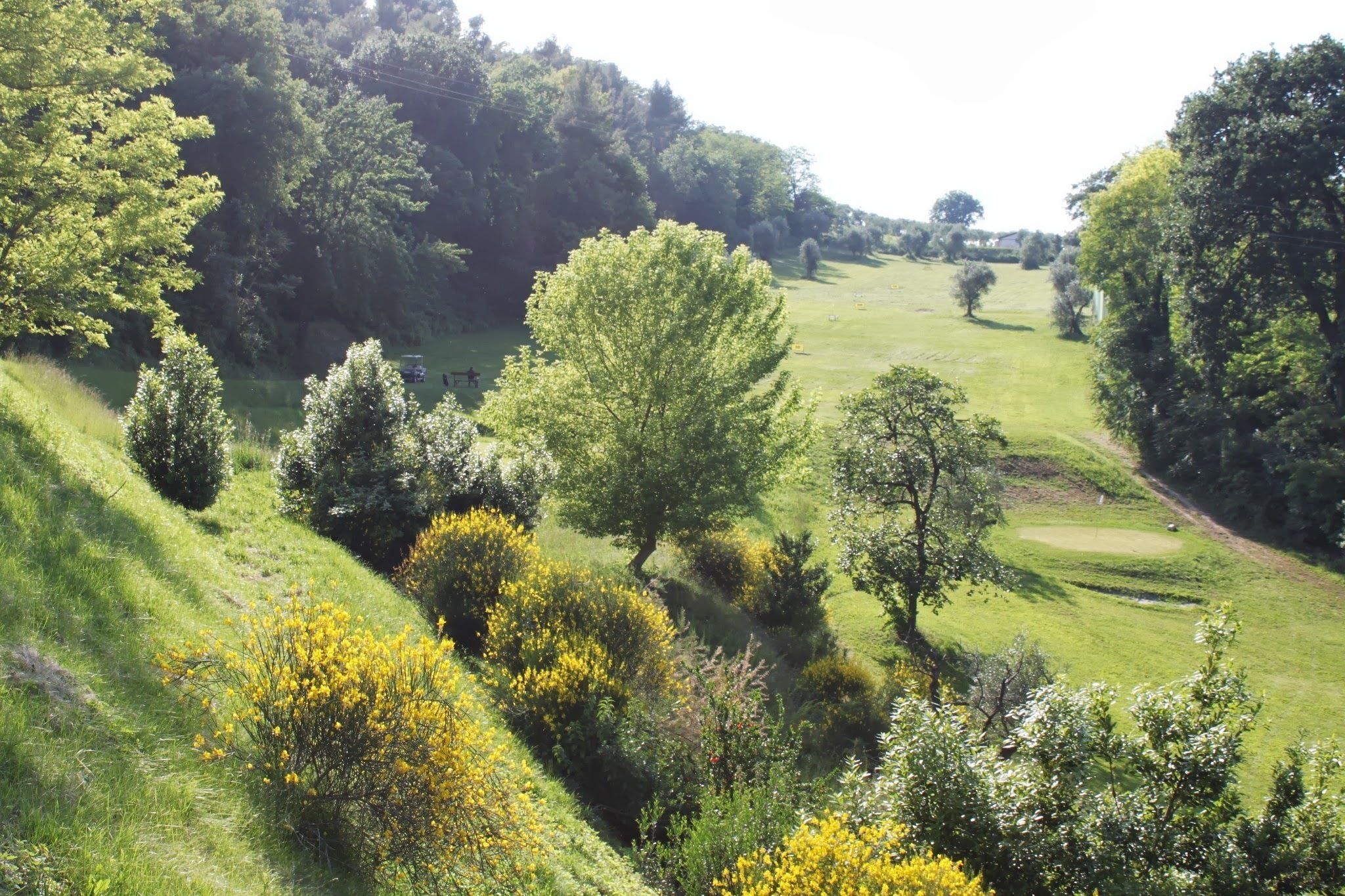 Photo - Castello Montegiove