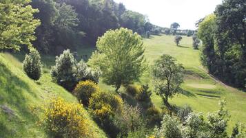Üppige grüne Landschaft mit Golfplatz, Bäumen und Sträuchern.