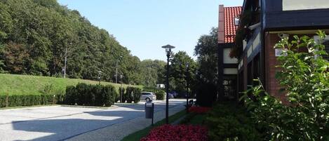 A paved driveway leading to a building with a red-tiled roof, surrounded by greenery and a clear sky.