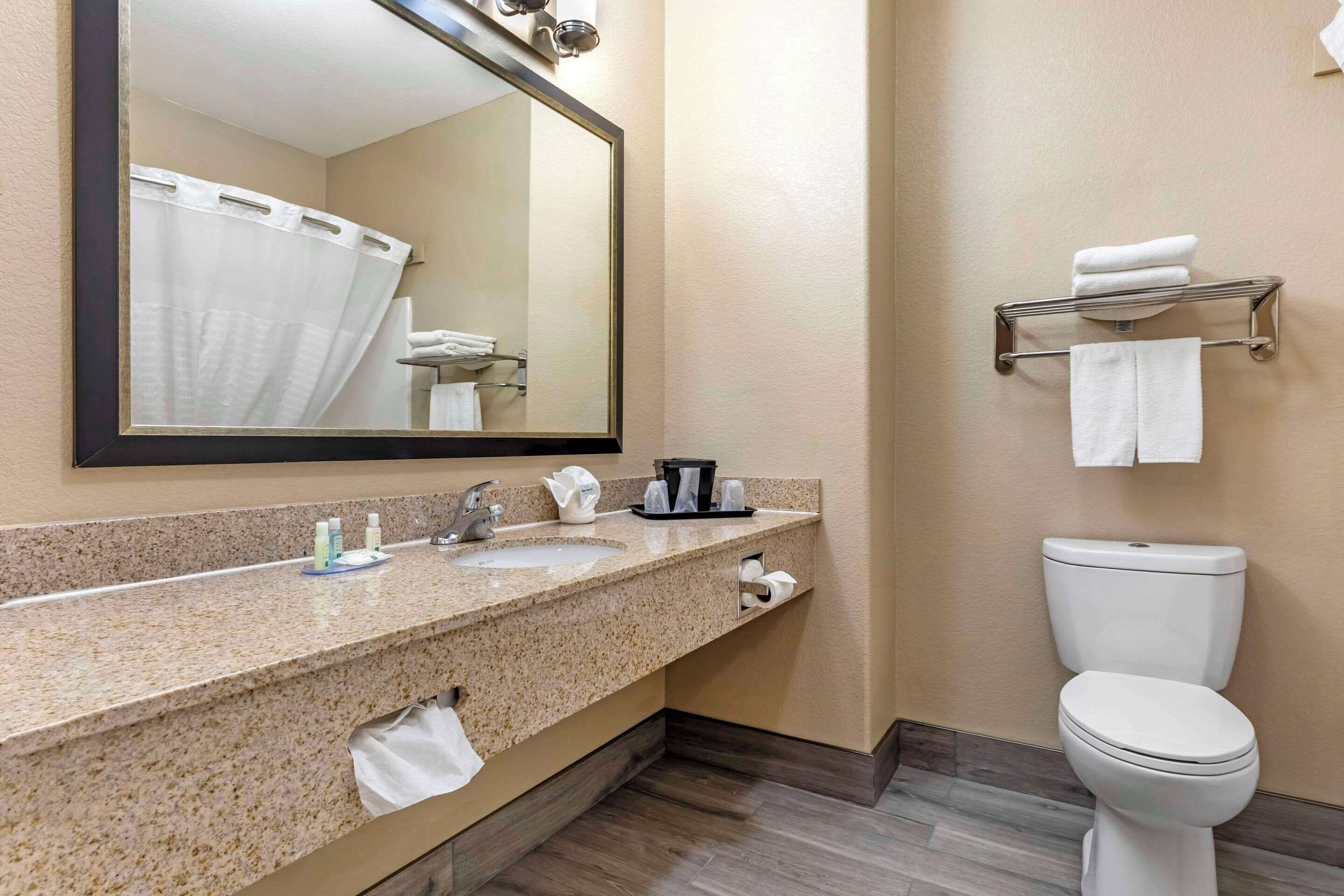 suite, 1 king bed, non smoking | pillow-top beds, desk, iron/ironing board, free wifi