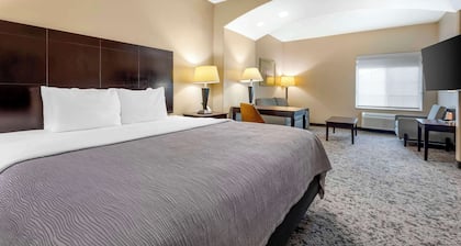 Quality Inn & Suites