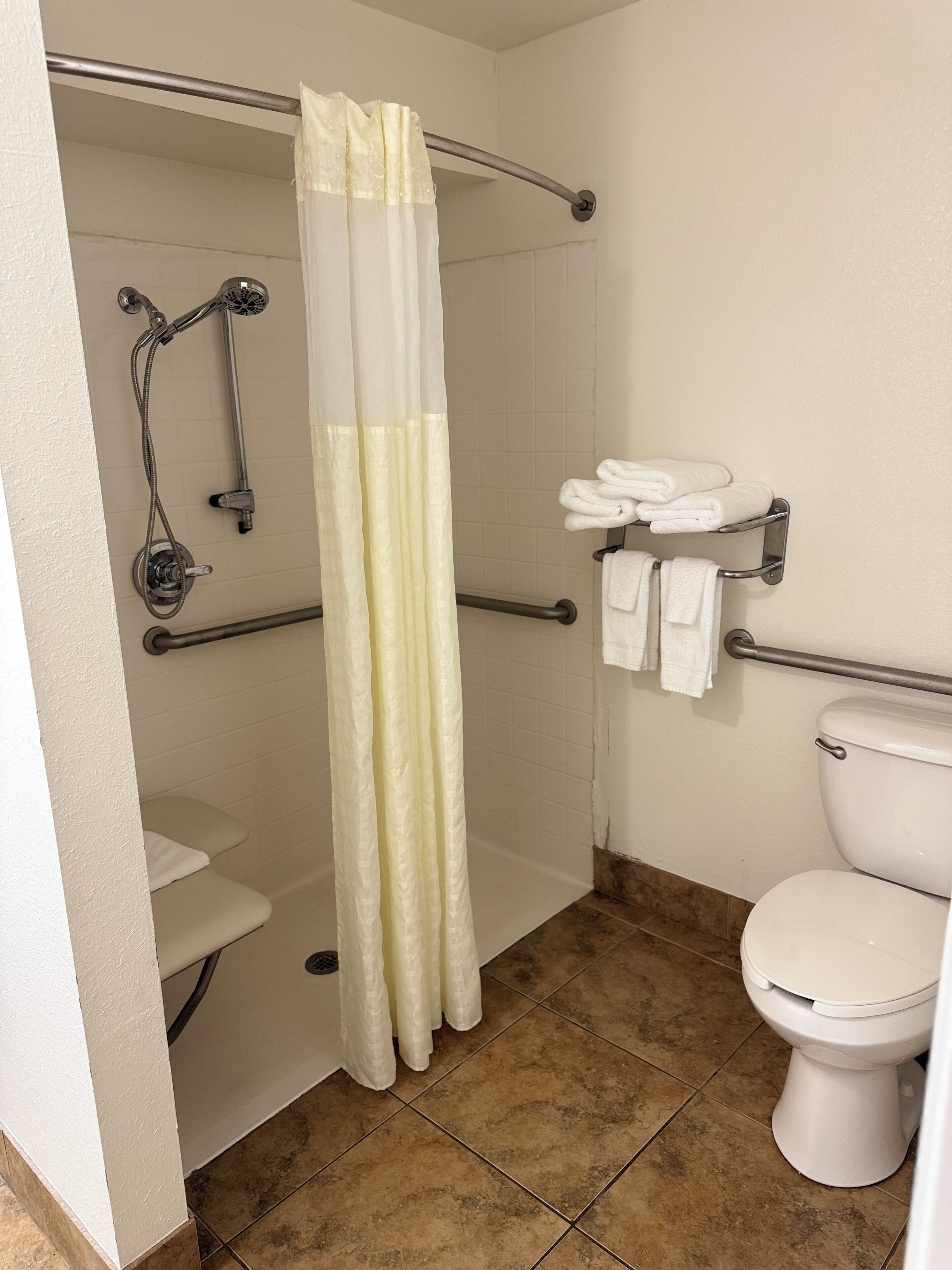 A bathroom with a shower, toilet, and towel rack.